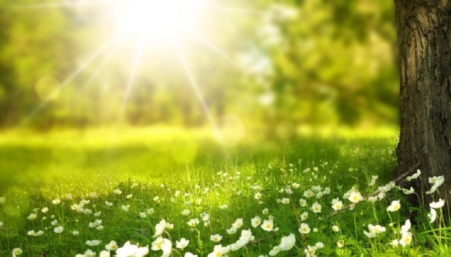 Zon en Zegen uit Biddinghuizen geeft Lente concert op 7 mei